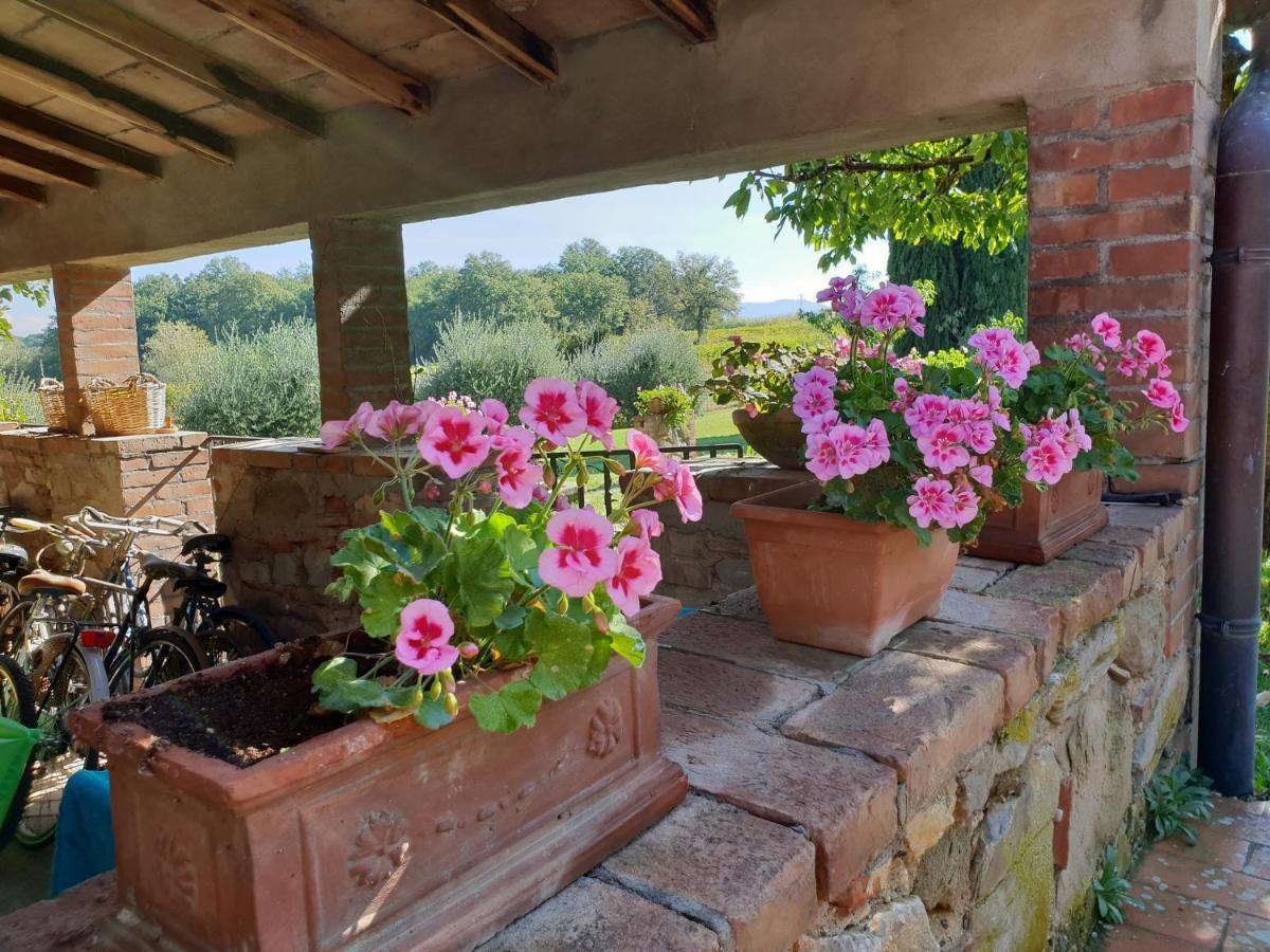 Agriturismo Il Sole Verde Bucine Eksteriør billede