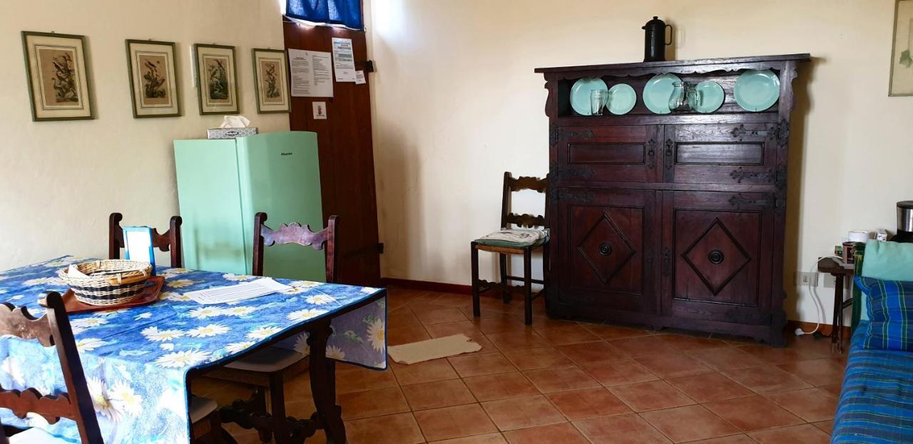 Agriturismo Il Sole Verde Bucine Eksteriør billede