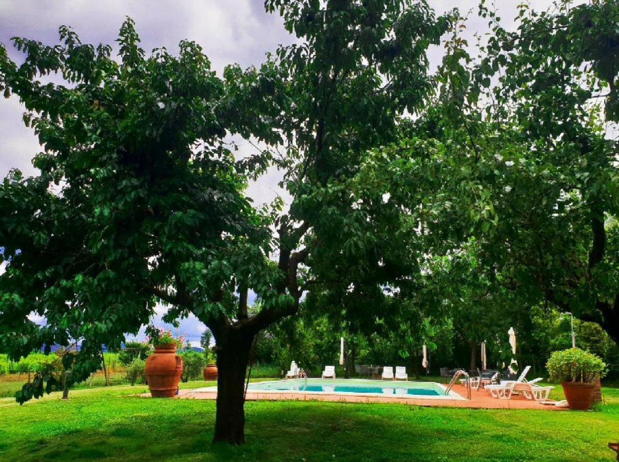 Agriturismo Il Sole Verde Bucine Eksteriør billede